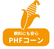 PHFコーン