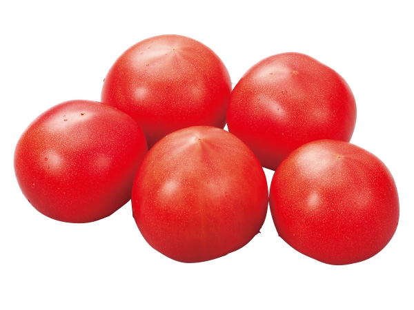 郡築トマト 各種