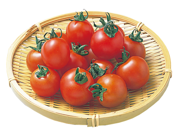 ミラトマト(愛知)