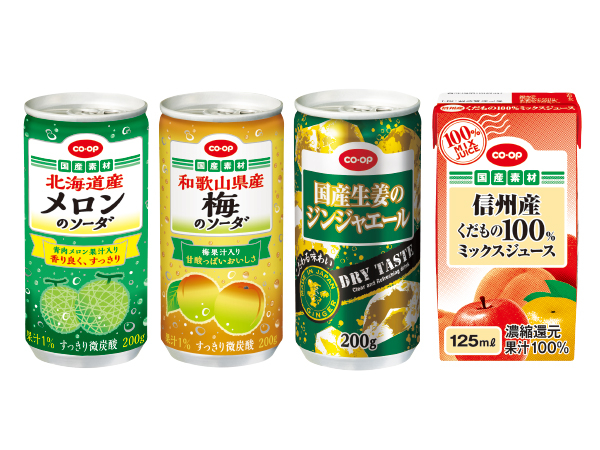 ケース飲料 各種(北海道産メロンソーダ・和歌山県産梅のソーダ・毎日鉄分パインミックス・国産ジンジャーエール・信州産くだものミックスジュース)