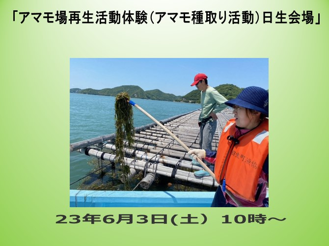 「アマモ場再生活動体験（アマモ種取り活動）」してみませんか【日生会場】