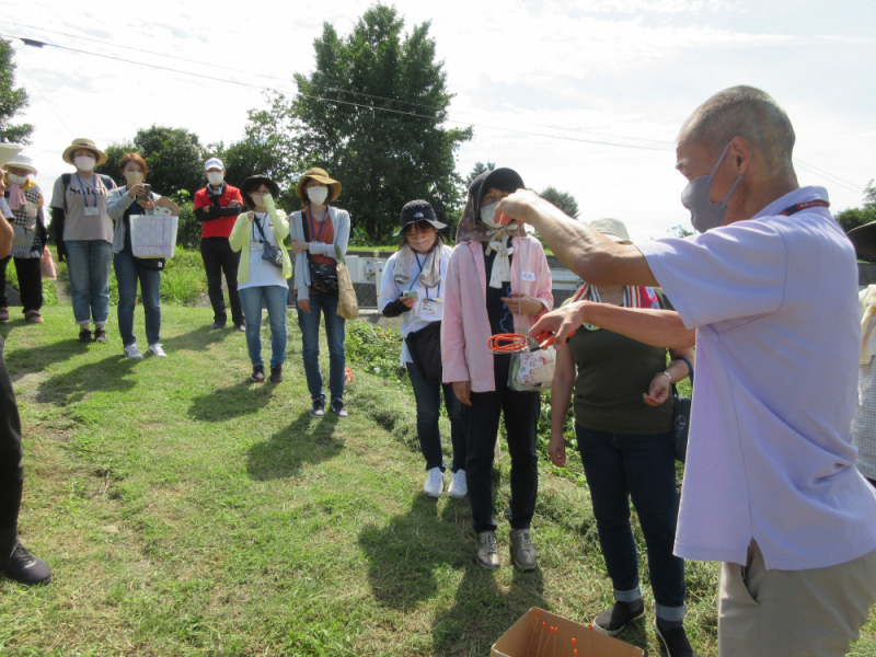 とれたてが美味しい! 作州黒枝豆産地交流