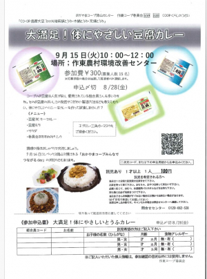 大満足！体に優しい豆腐カレー