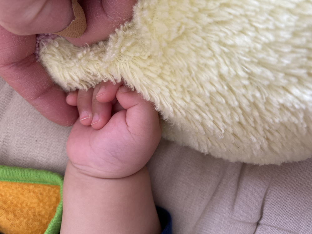 私のリニューアル