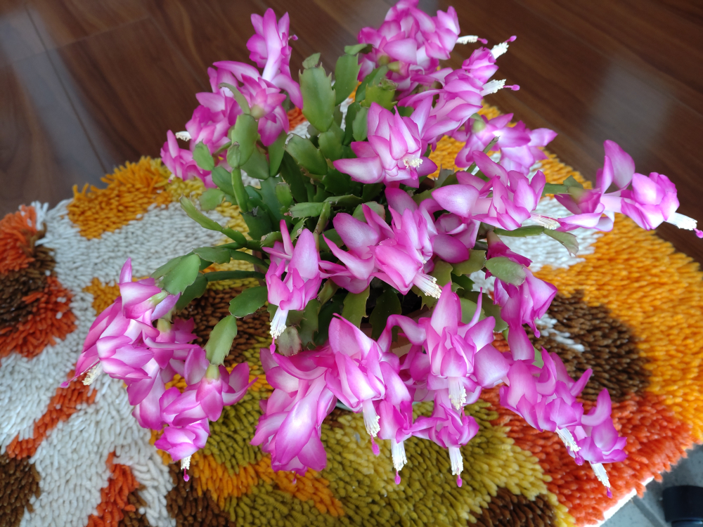 人生は毎日が選択