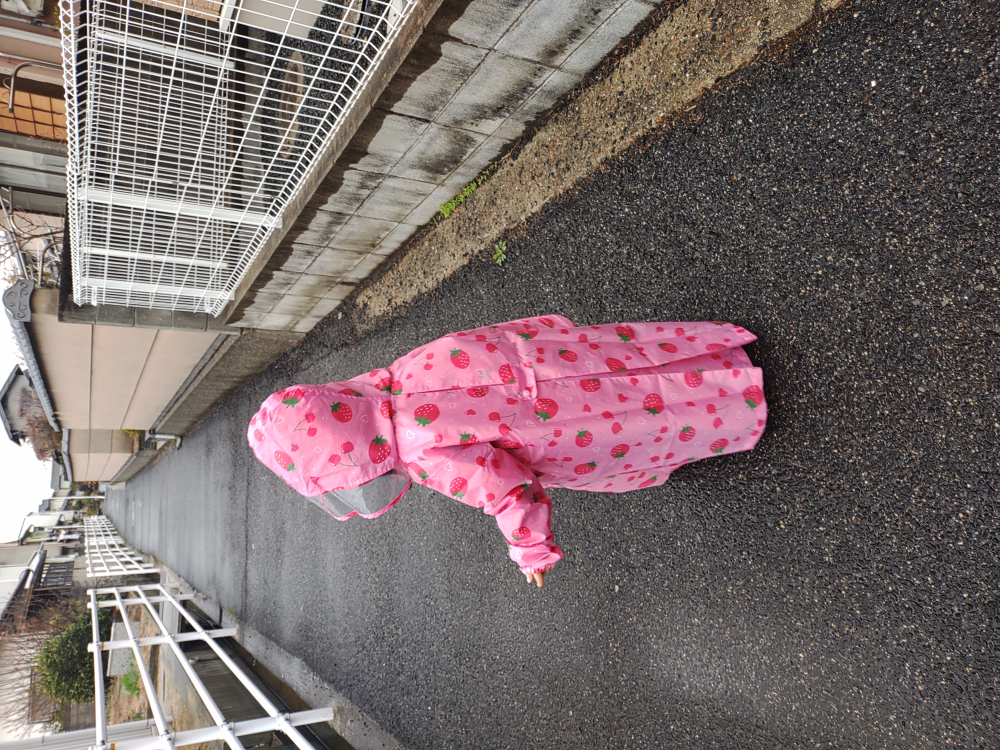 雨の日の楽しみ方