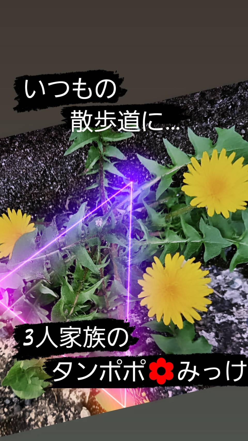 あの時一歩を踏み出してよかったと思うこと