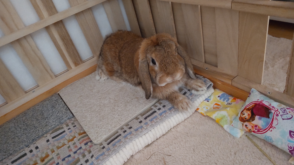 元気をチャージする方法