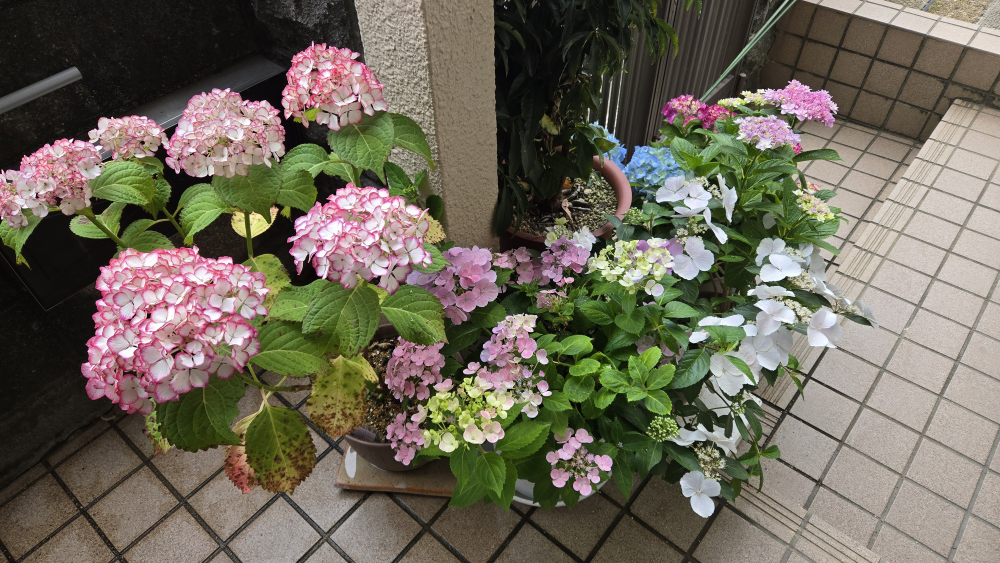 平和への想い