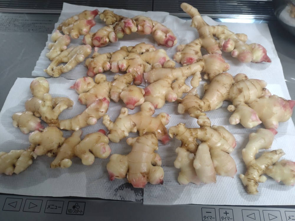 2026年の意気込み