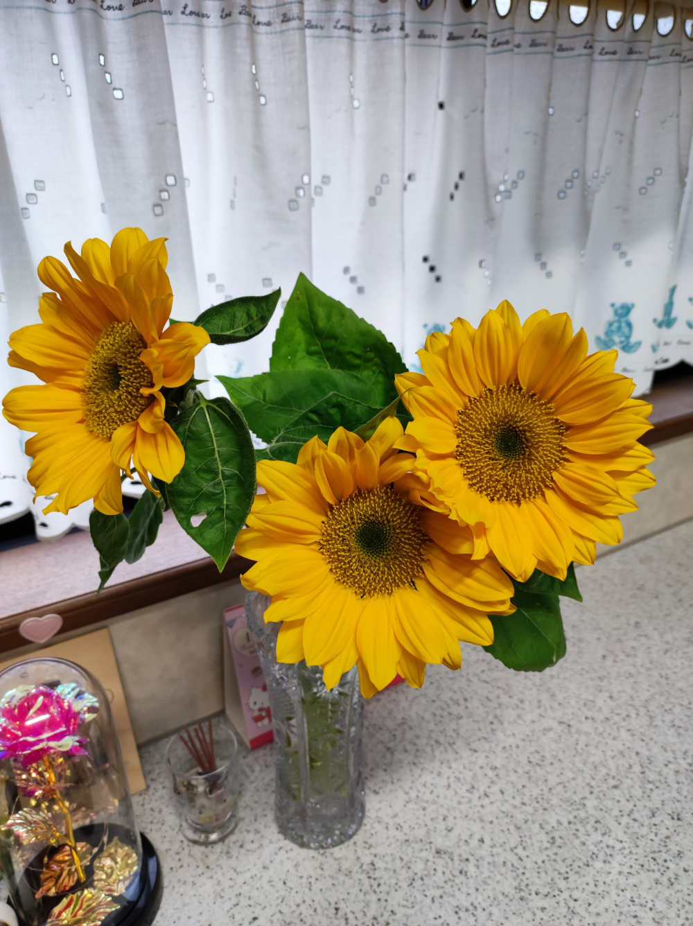 夏といえば