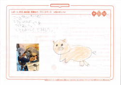 大賞 豚もよろこぶで賞