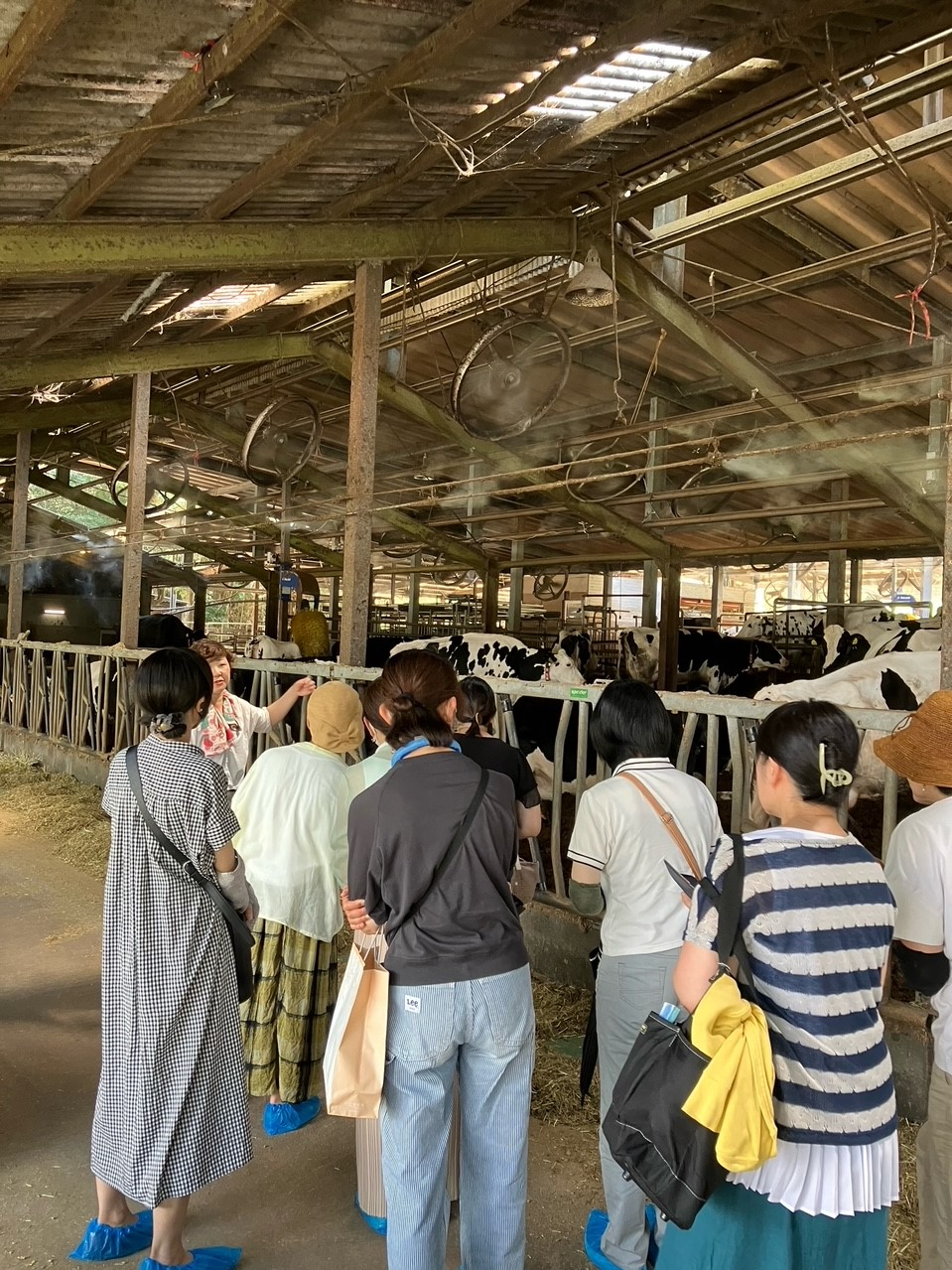 オトナの安富牧場見学(コープ牛乳の美味しさの秘密を知ろう!)
【岡山東エリア宇野西コープ委員会】