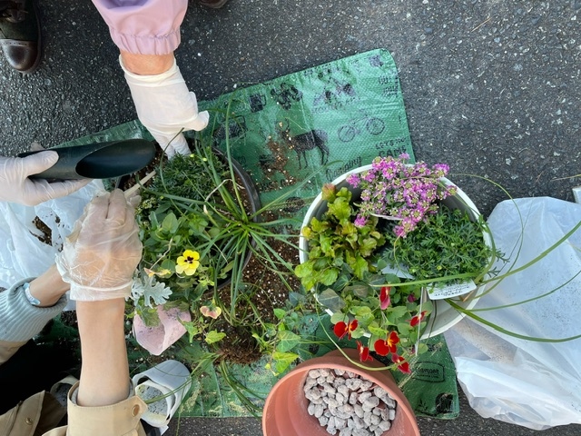 おしゃれな寄せ植え&年末おすすめ商品試食会
【美作エリア鏡野コープ委員会】
