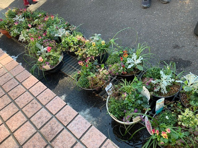 おしゃれな寄せ植え&年末おすすめ商品試食会
【美作エリア鏡野コープ委員会】