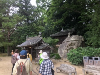 初夏の後楽園　大人の社会科見学
【岡山東エリアいきいき委員会】