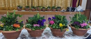 季節の寄せ植えしませんか
【美作エリア一宮コープ委員会】