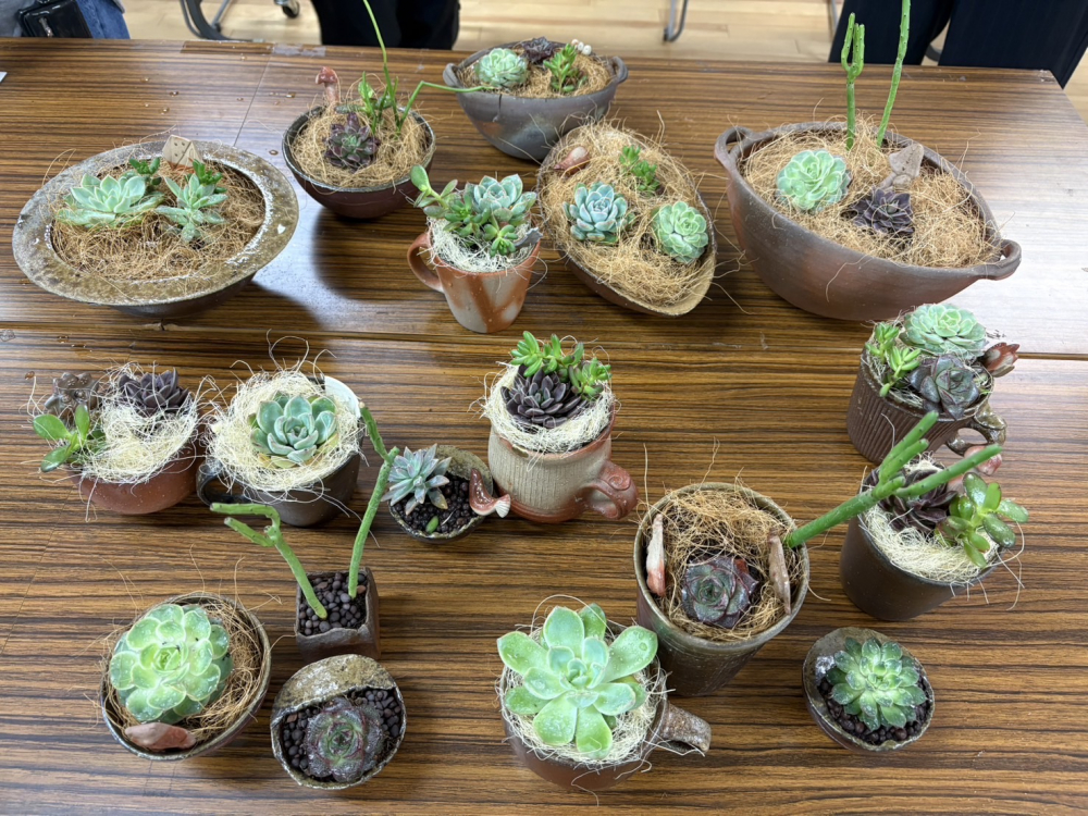 備前焼のうつわを使って多肉植物の寄せ植えをしよう
【岡山東エリア三勲北コープ委員会】