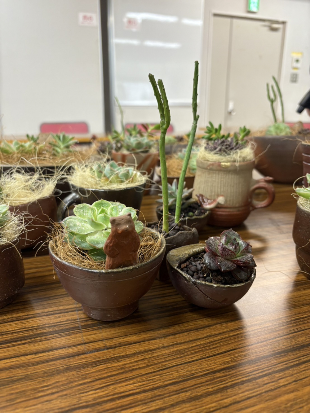 備前焼のうつわを使って多肉植物の寄せ植えをしよう
【岡山東エリア三勲北コープ委員会】