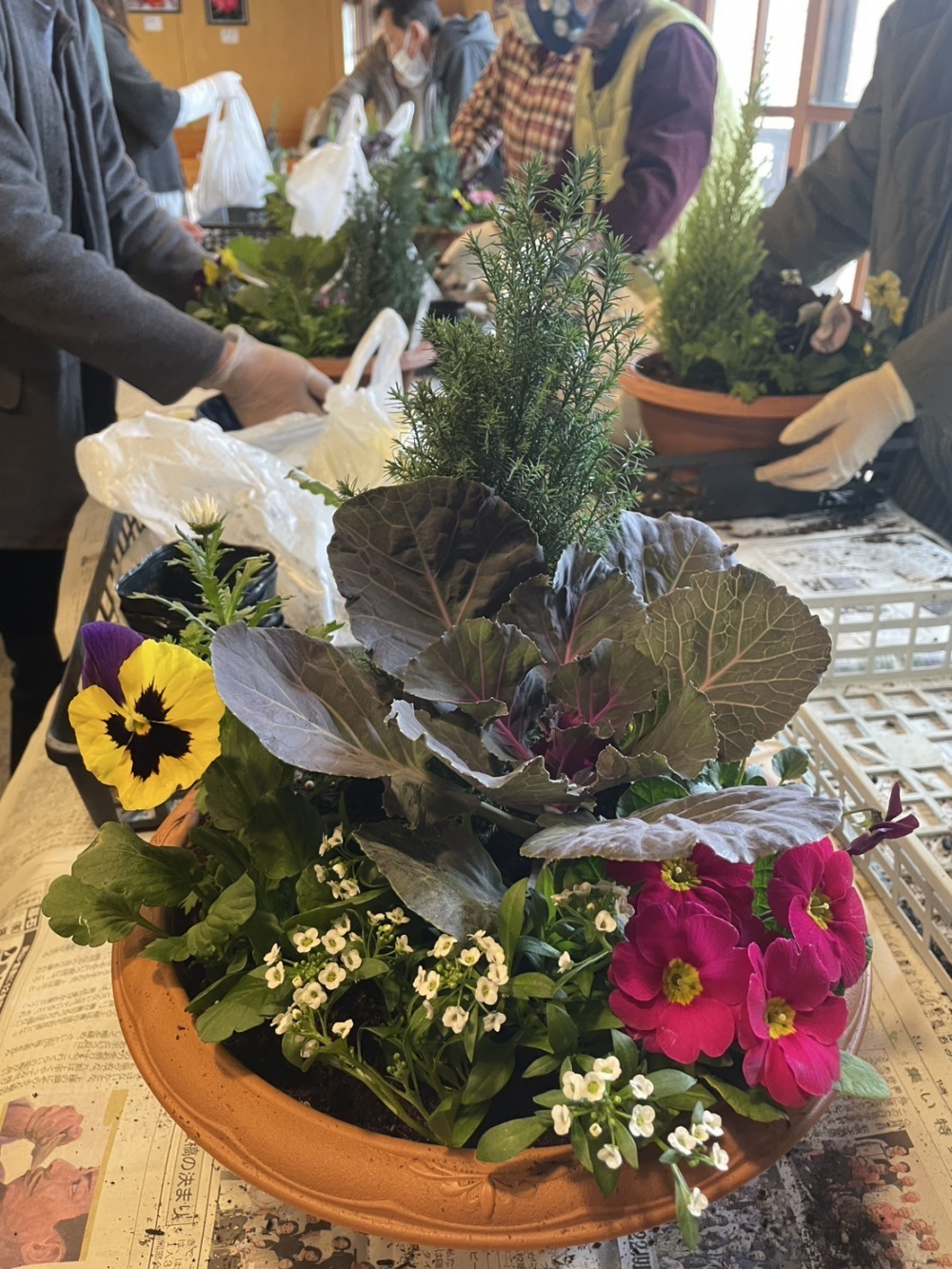 冬の寄せ植えを楽しもう
【備北エリアパワーアップPJ】
