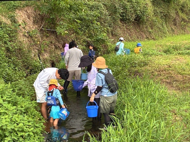 水辺の教室 いきものさがし観察隊!! -赤磐市野生植物調査会から講師をお迎えして、水辺の生き物を一緒に観察しませんか?-
【岡山東エリア環境・考えるPJ 共催:岡山市・赤磐市】