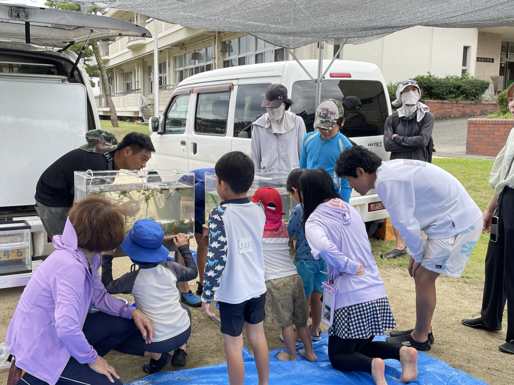 水辺の教室 いきものさがし観察隊!! -赤磐市野生植物調査会から講師をお迎えして、水辺の生き物を一緒に観察しませんか?-
【岡山東エリア環境・考えるPJ 共催:岡山市・赤磐市】
