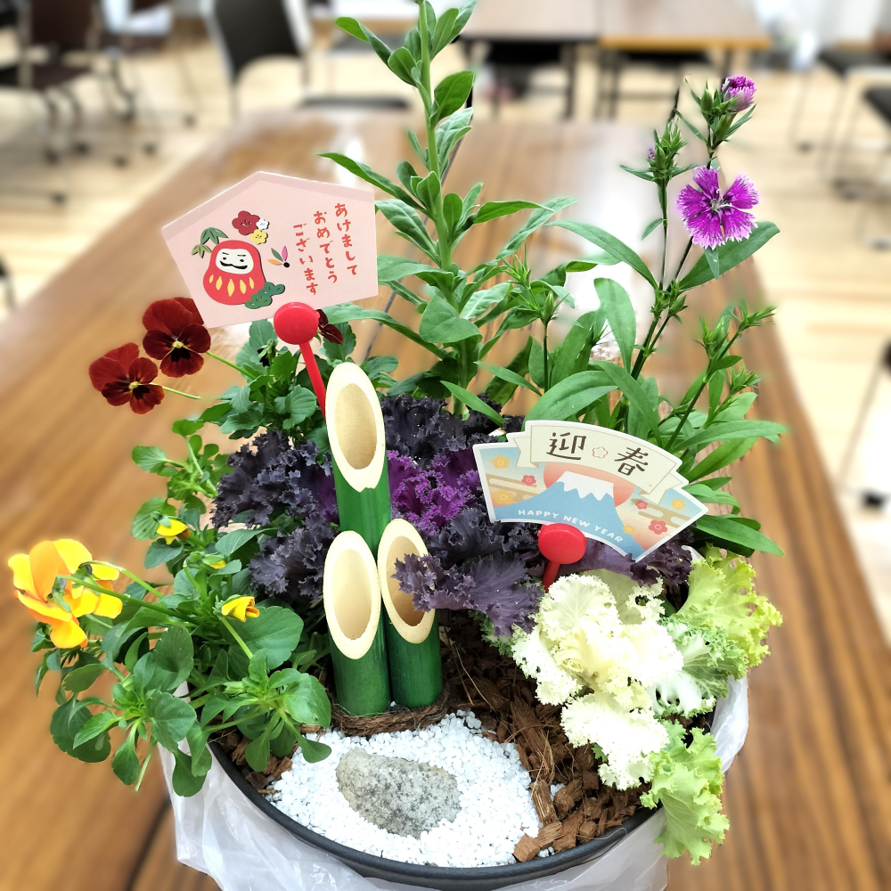 冬の寄せ植えワークショップ 年末の玄関を華やかに
【倉敷エリア老松南コープ委員会】