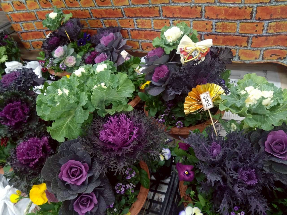 寄せ植えでお正月を彩ろう!
【美作エリア北小コープ委員会】