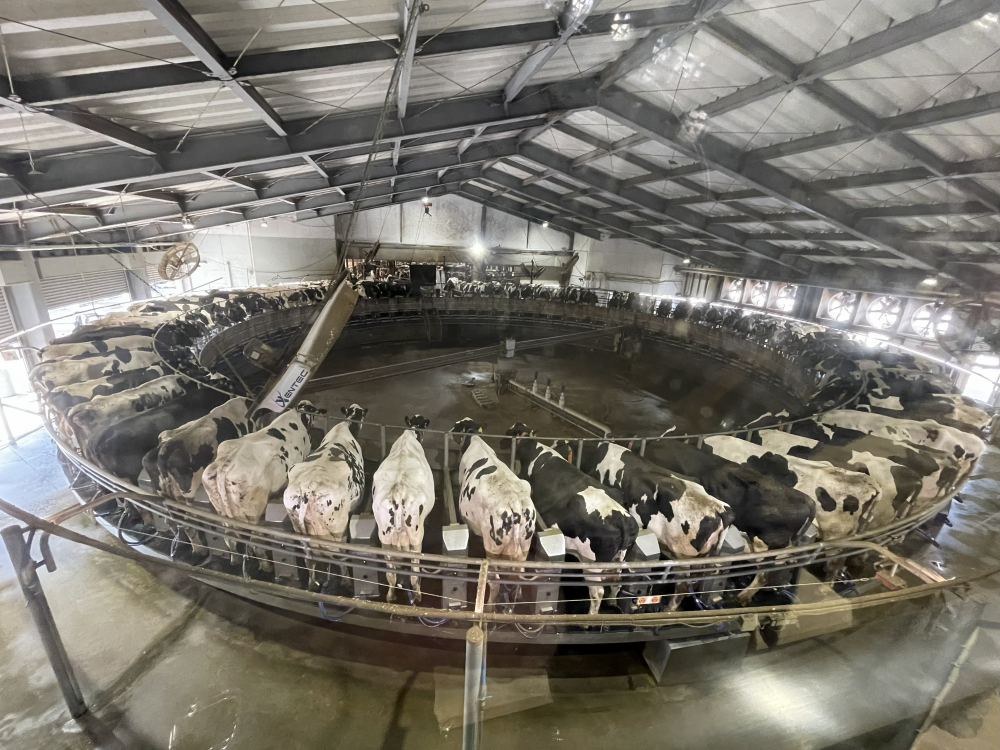 希望園へ行ってみよう!!
【岡山東エリアたべる・たいせつPJ】