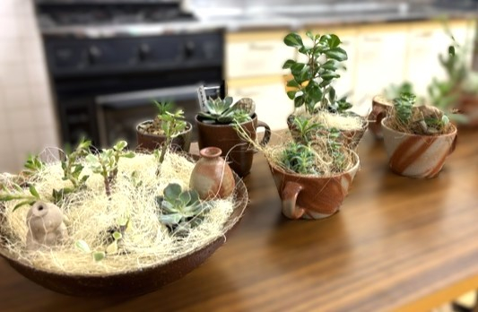 あなたの生活に癒しのグリーンを♪ 『備前焼の器で自分だけの多肉植物のアレンジメントを作ってみよう!!』
【岡山東エリア幡多南コープ委員会】