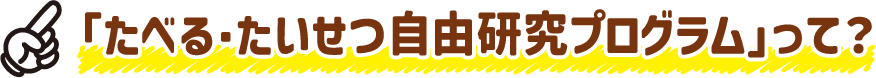 たべる・たいせつ自由研究とは