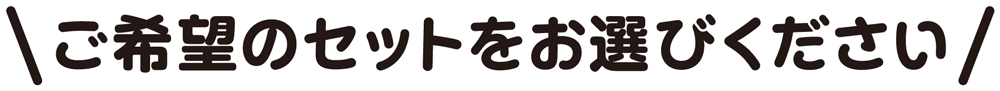 セットをお選びください