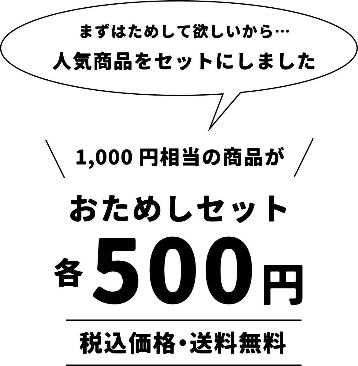 まずはためして欲しいから 1,000円相当の商品が500円
