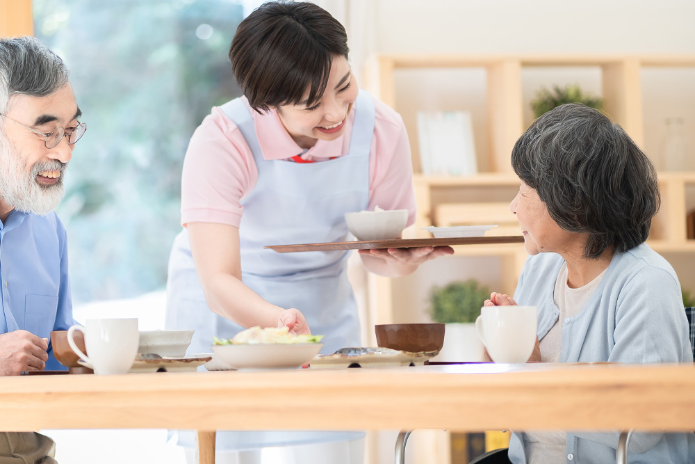 介護食のメインイメージ